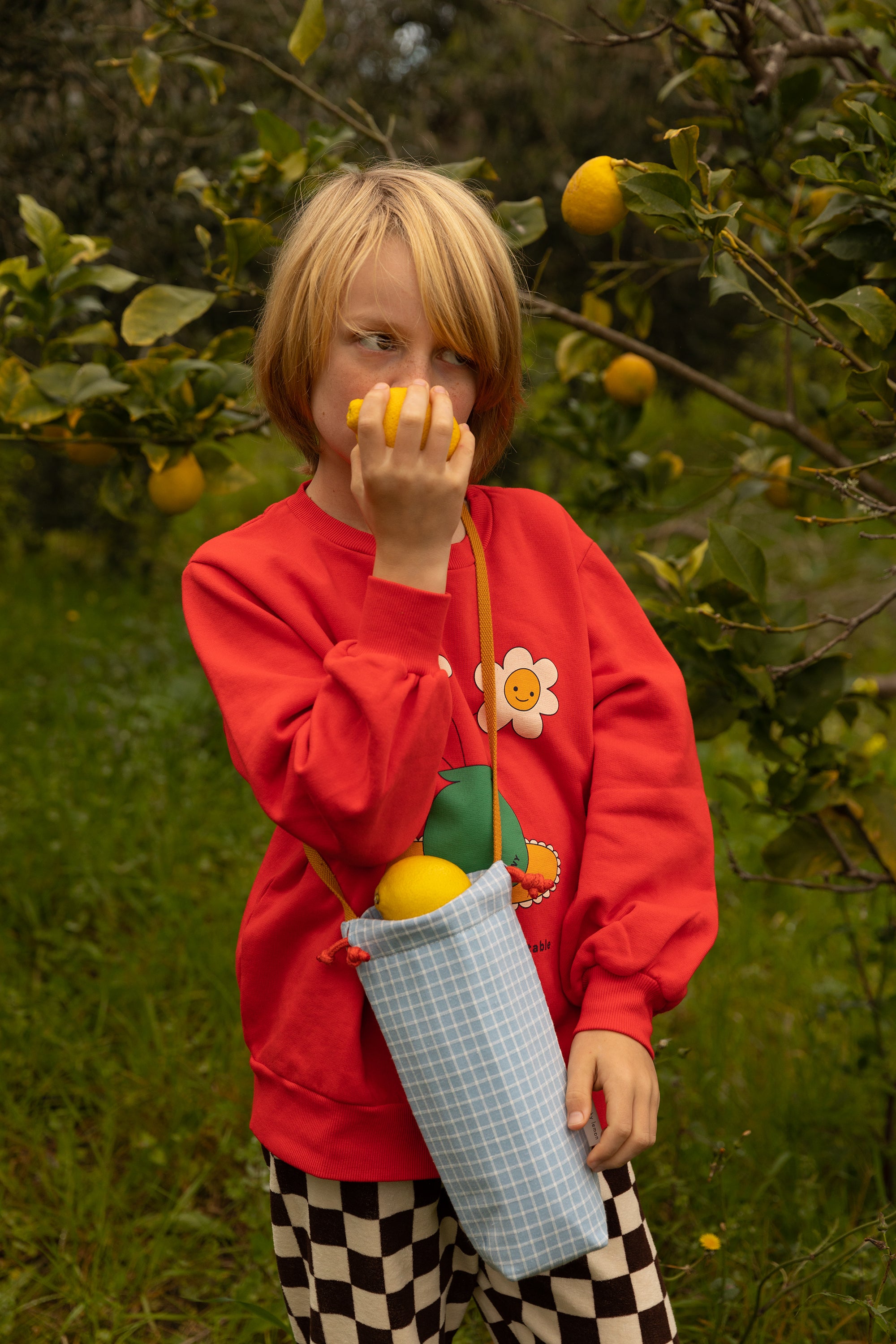 Bottle Bag Morning Fog