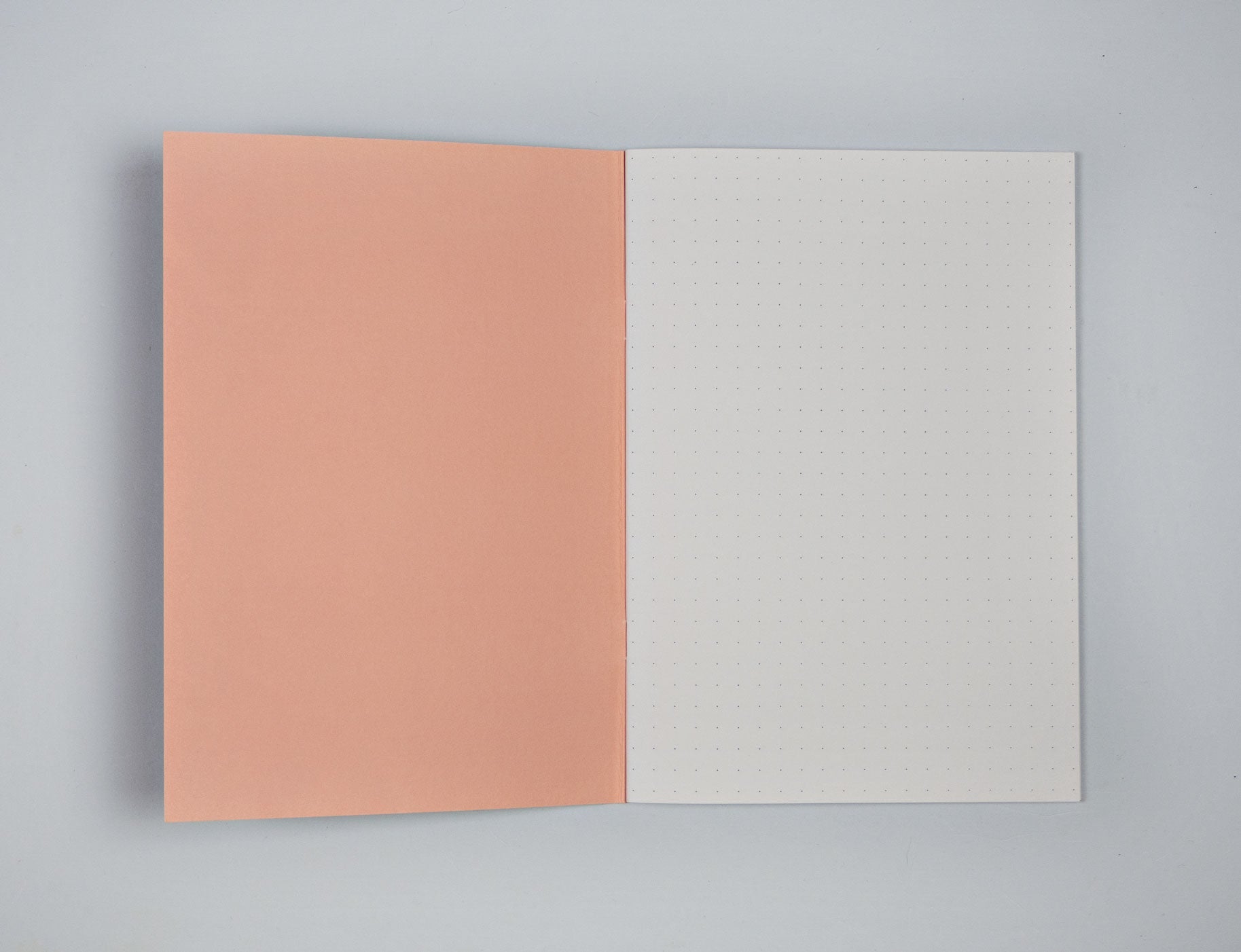 Giant Brush A5 Notebook Dot Grid