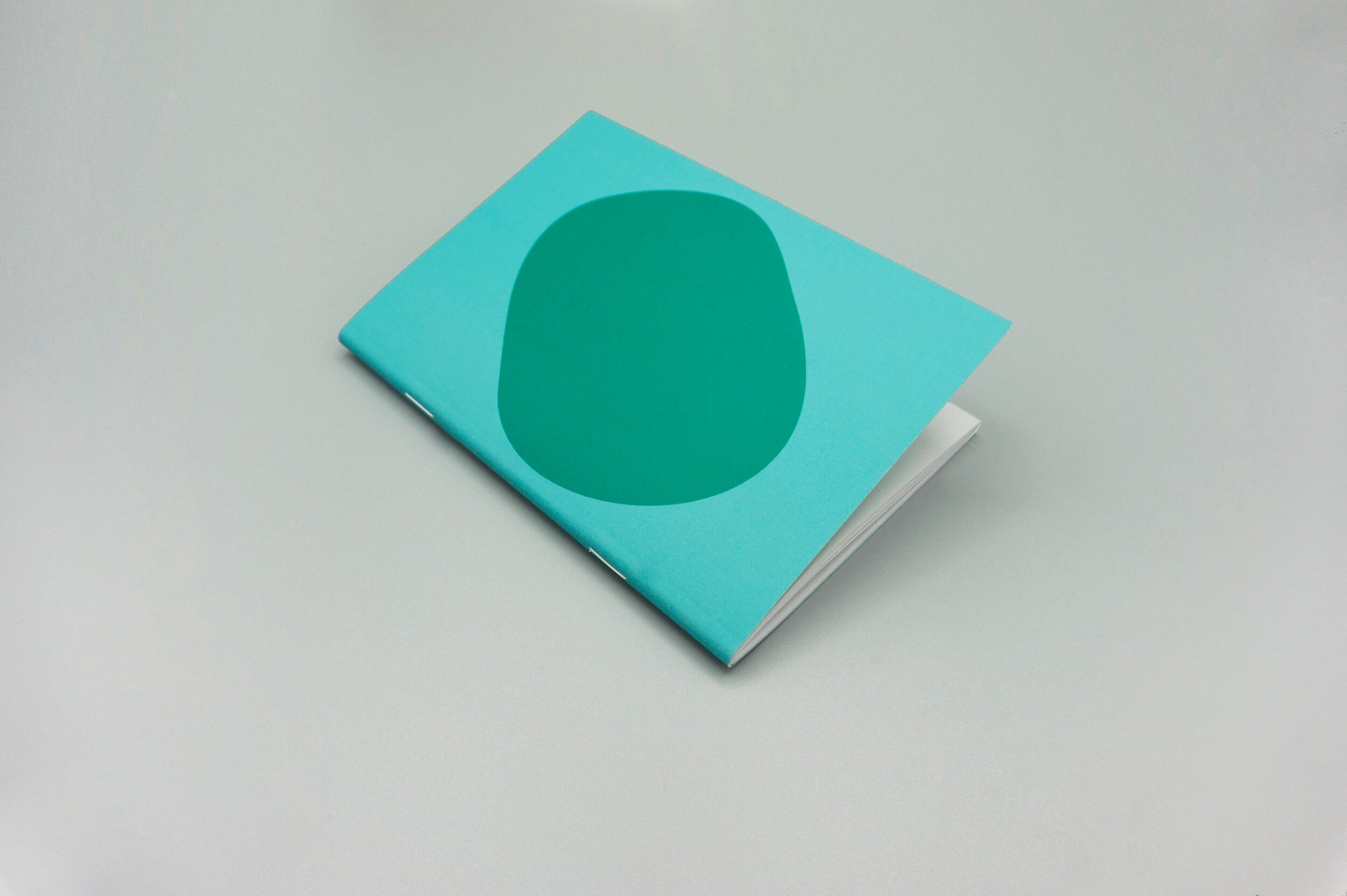 Pocket Thoughts Notebook in Green